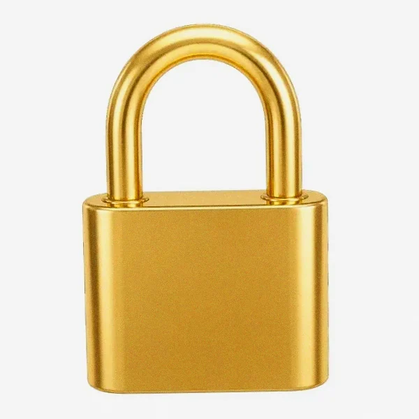 Orange padlock — Pink
