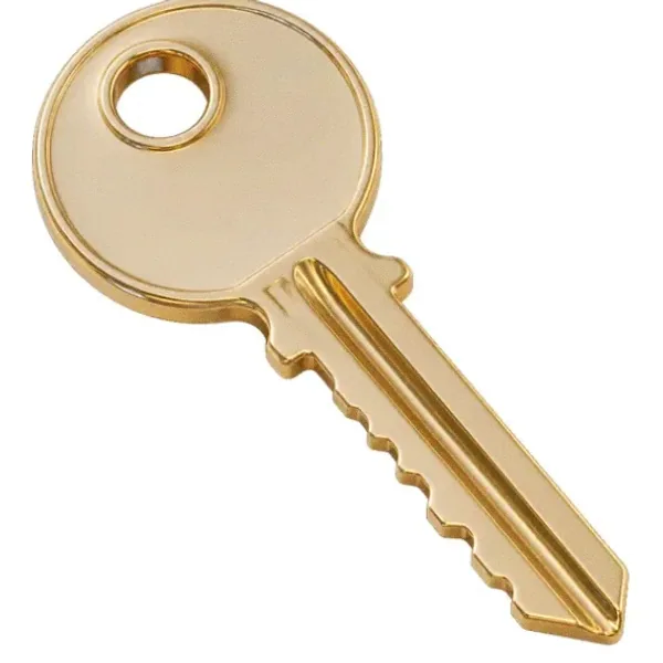 Metal key — Pink