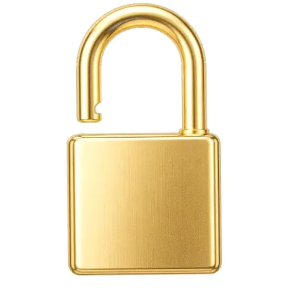 Padlock — Pink